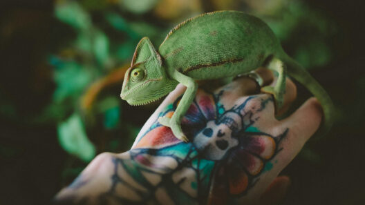 Die besten veganen Tattoo-Cremes und ihre Vorteile
