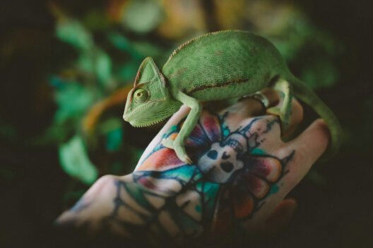 Die besten veganen Tattoo-Cremes und ihre Vorteile